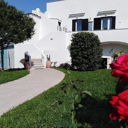 Casa Lucia アパート イスキア島